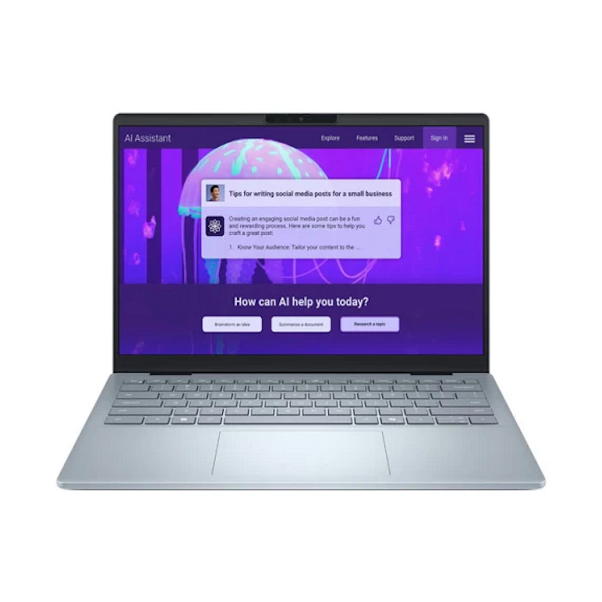 Dell 14 Plus (BTO999DB14250GE_W11P)