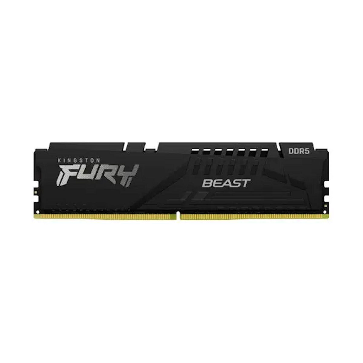 Kingston FURY (KF556C36BBE2-32)