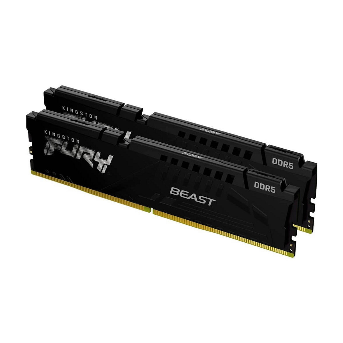 Kingston FURY Beast Black (KF556C36BBEK2-32)