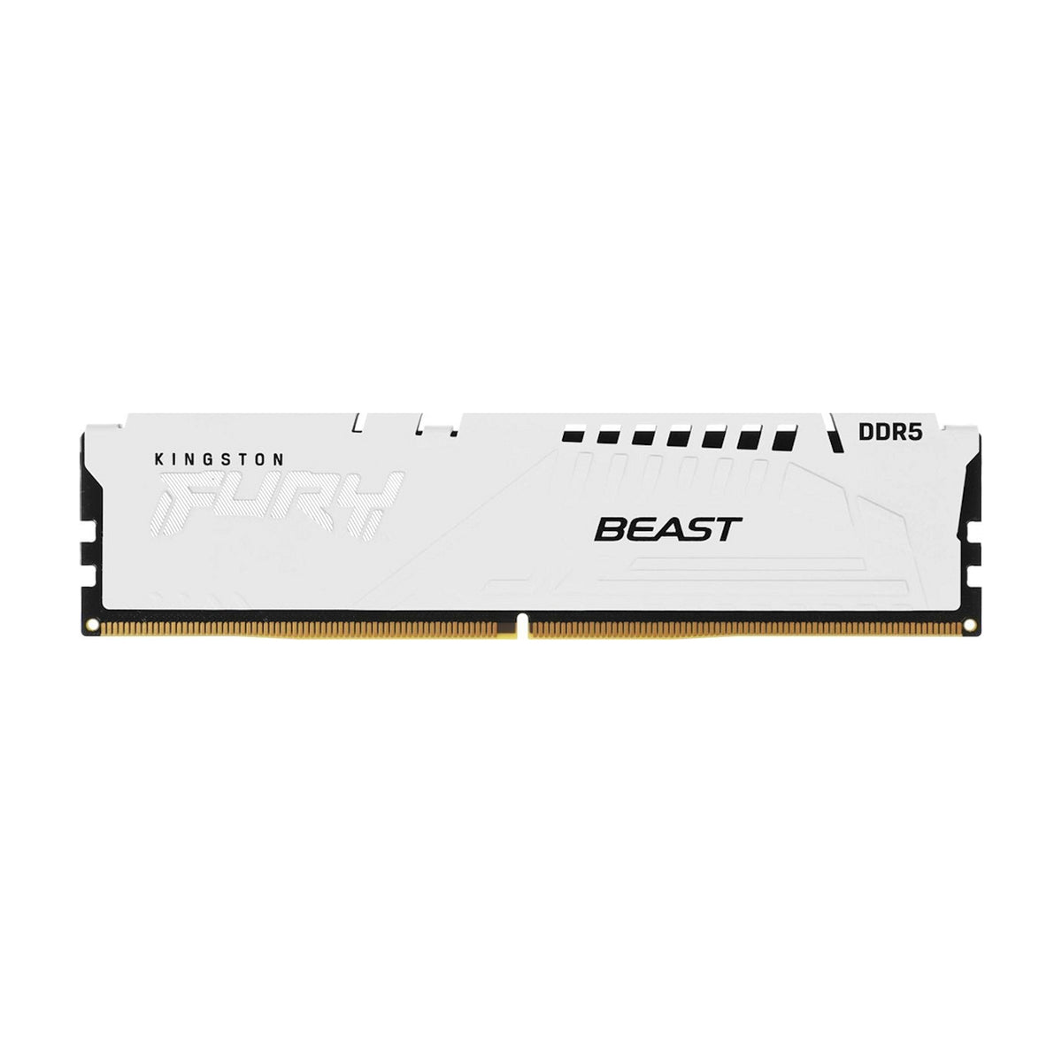 Kingston FURY White (KF556C36BWE-16)