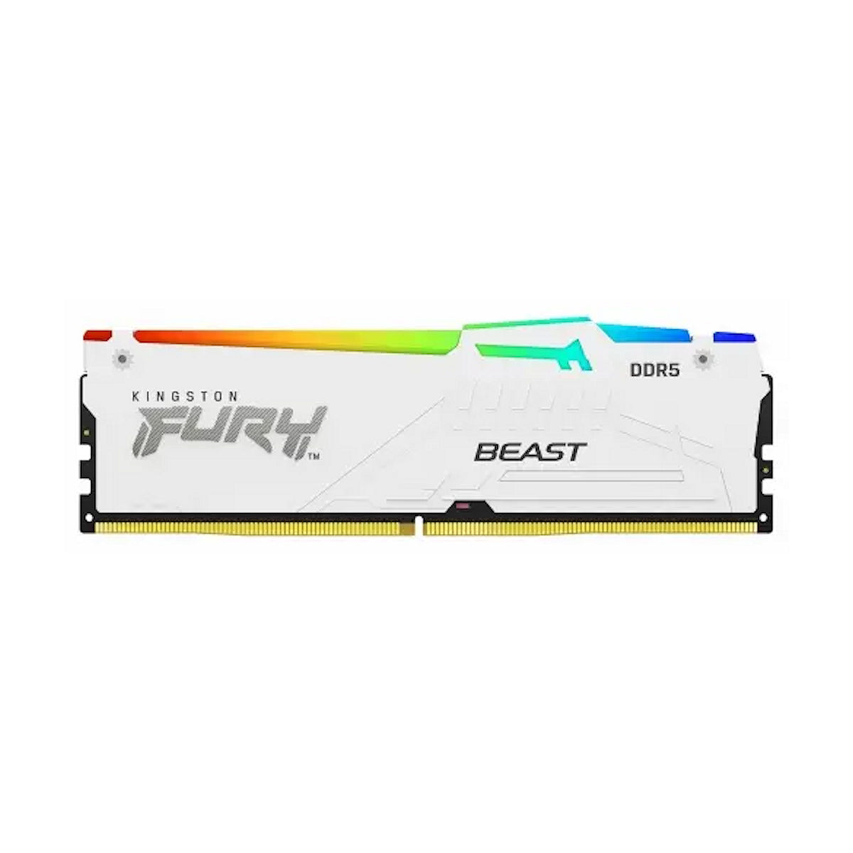 Kingston FURY (RGB) White (KF556C36BWEA-32)