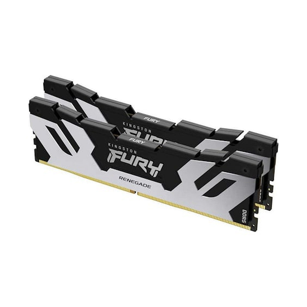 Kingston FURY Renegade Silver (KF560C32RSK2-96)