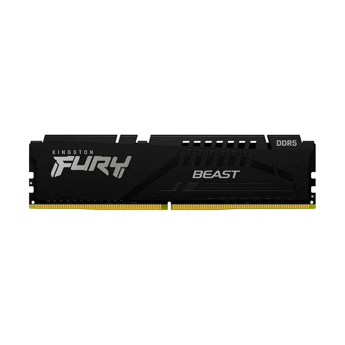 Kingston FURY Beast (KF560C36BBE-32)