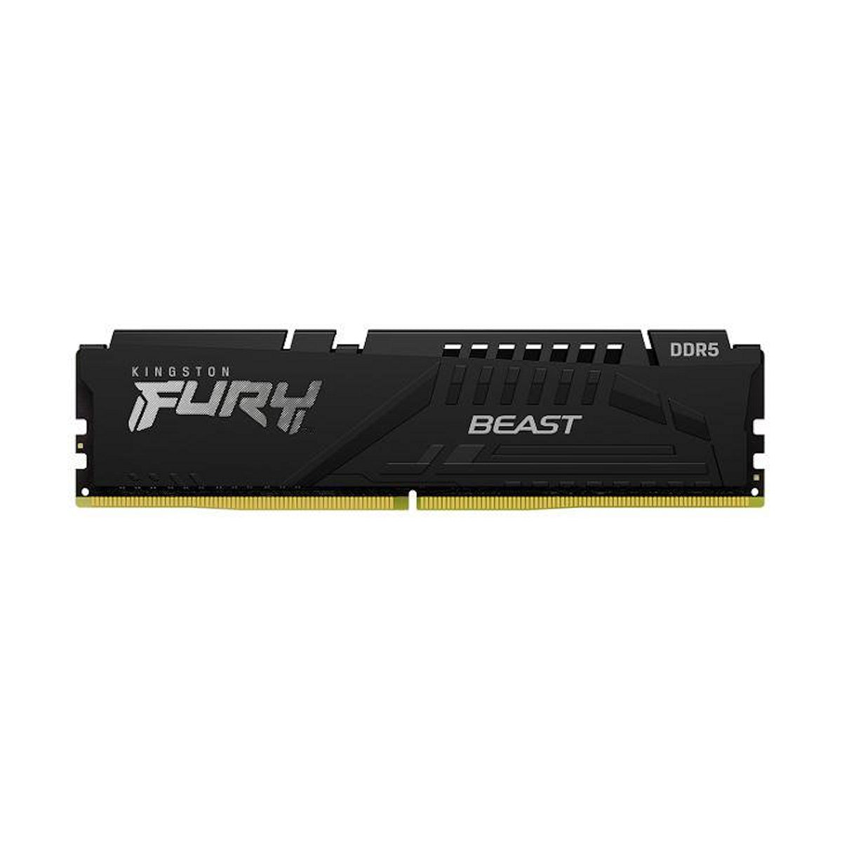 Kingston FURY Beast (KF560C36BBE2-16)