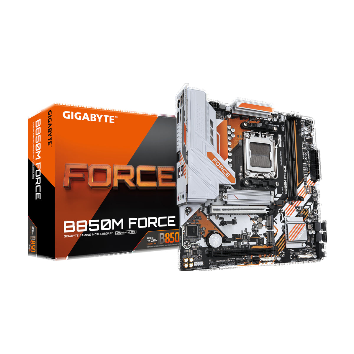 Gigabyte (B850M_FORCE)