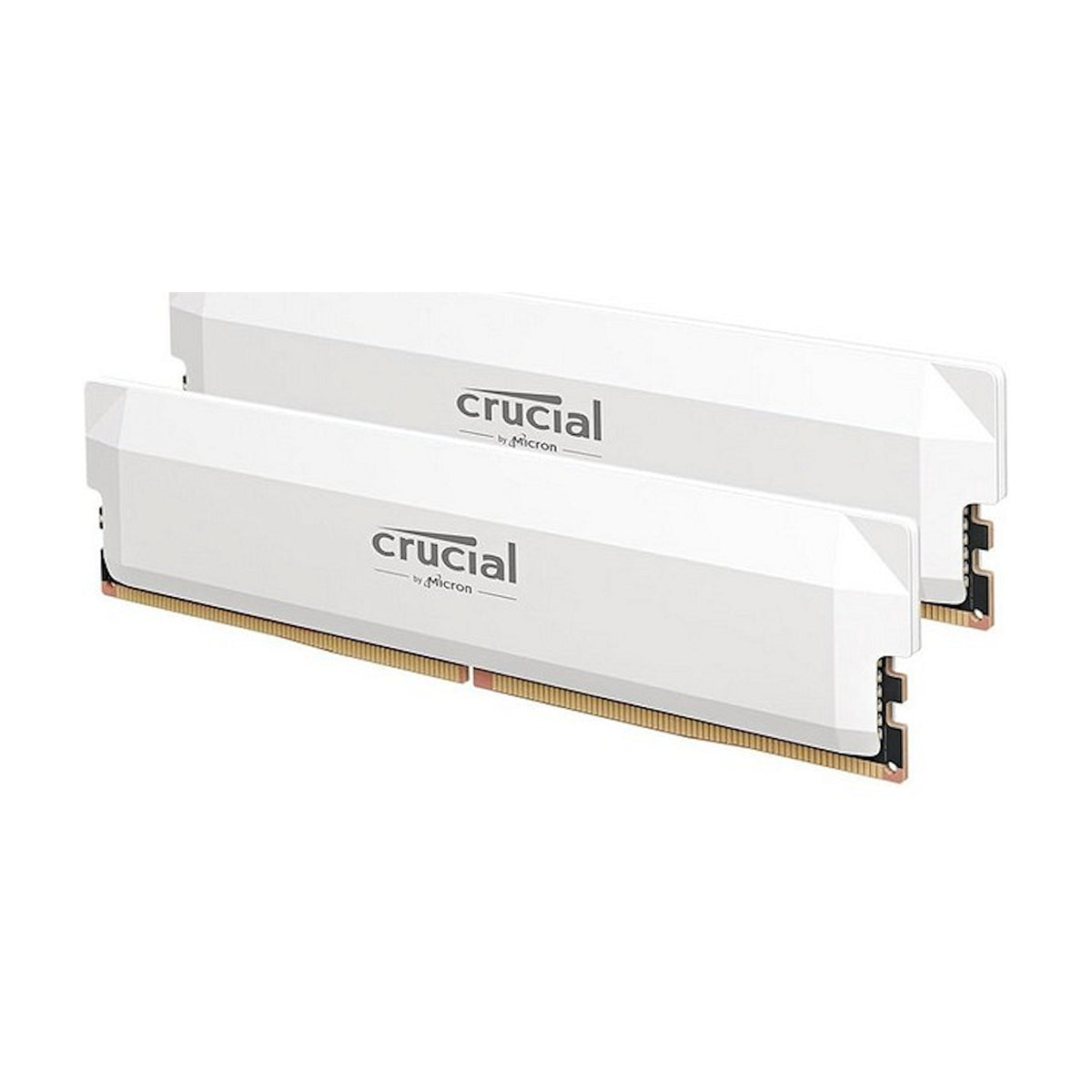 Crucial (CP2K32G64C40U5W)