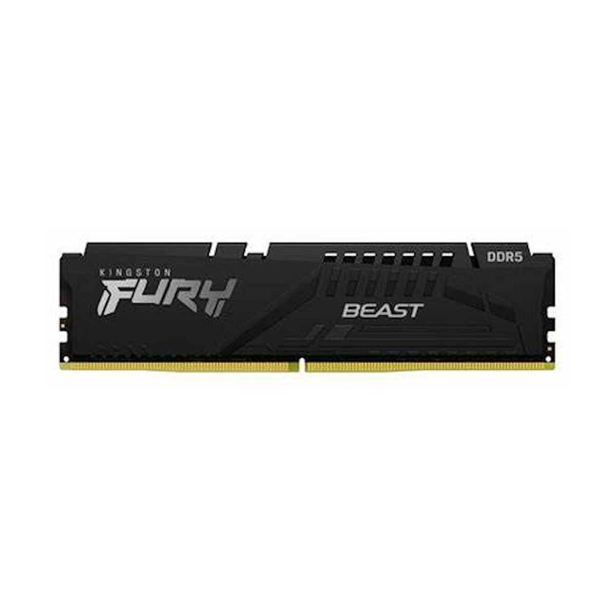 Kingston FURY Beast Black (KF556C36BBE-16)