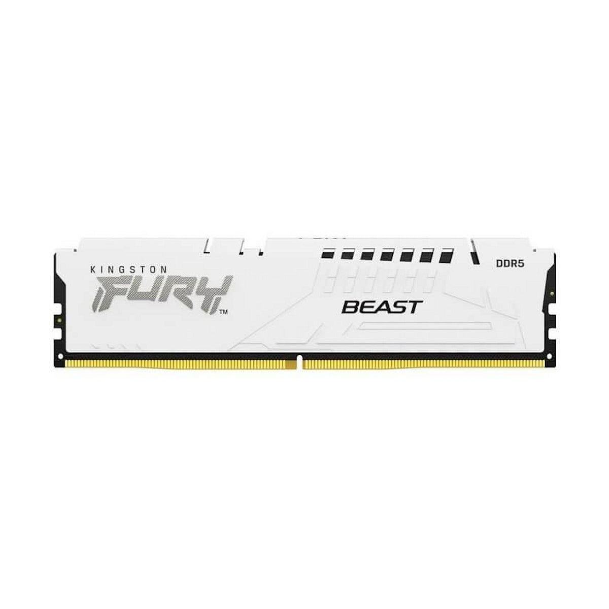 Kingston Beast FURY White RGB (KF556C36BWE-32)